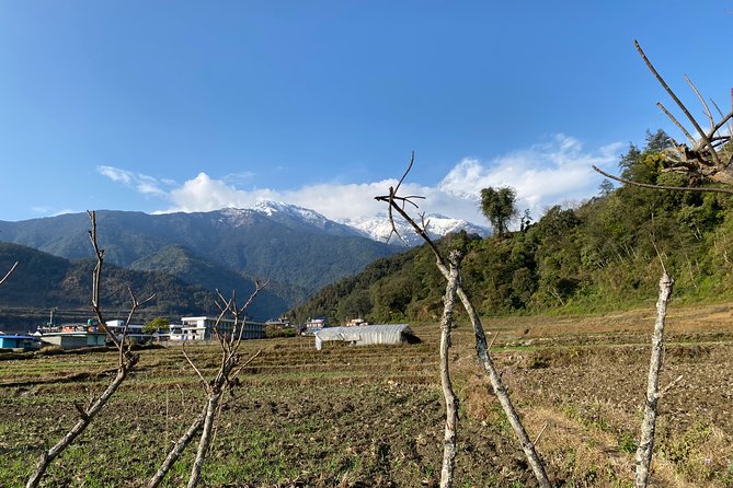 Gentle Walking Tour to Explore Nature in Pokhara - Tips for a Memorable Experience