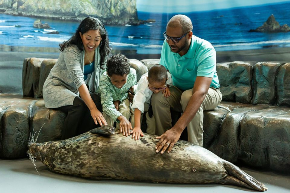 Georgia Aquarium: Harbor Seal Animal Encounter - Seal Encounter Duration