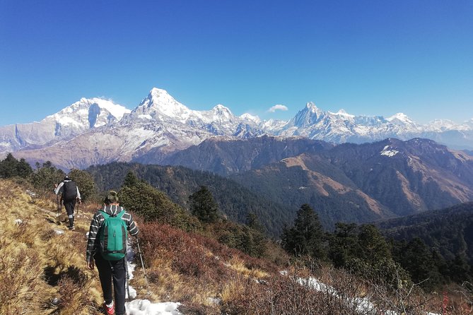 Ghorepani Punhill Yoga Trek - Common questions