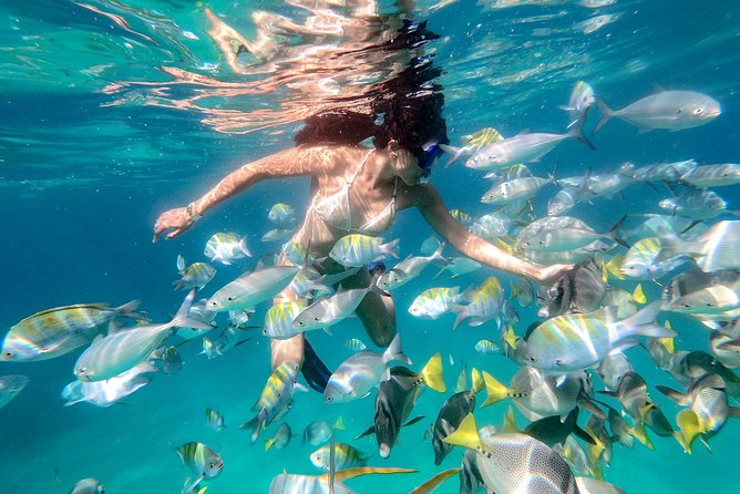 Glass-Bottom Boat Ride and Snorkel Tour in Cabo San Lucas - Common questions