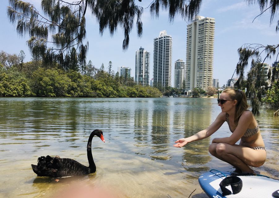 Gold Coast: 1-Hour Standup Paddleboarding Lesson & Photos - Location