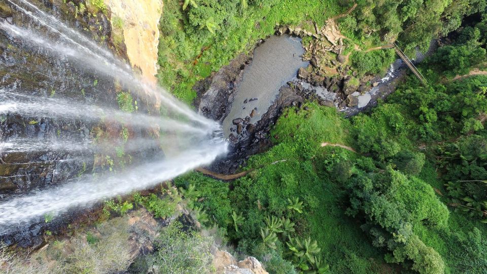 Gold Coast: Natural Bridge & Springbrook Waterfalls Tour - Important Information for Participants