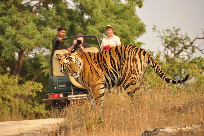 Golden Triangle-Ranthambore Private 5-Night Tour Castle Stay  - New Delhi - Traveler Reviews