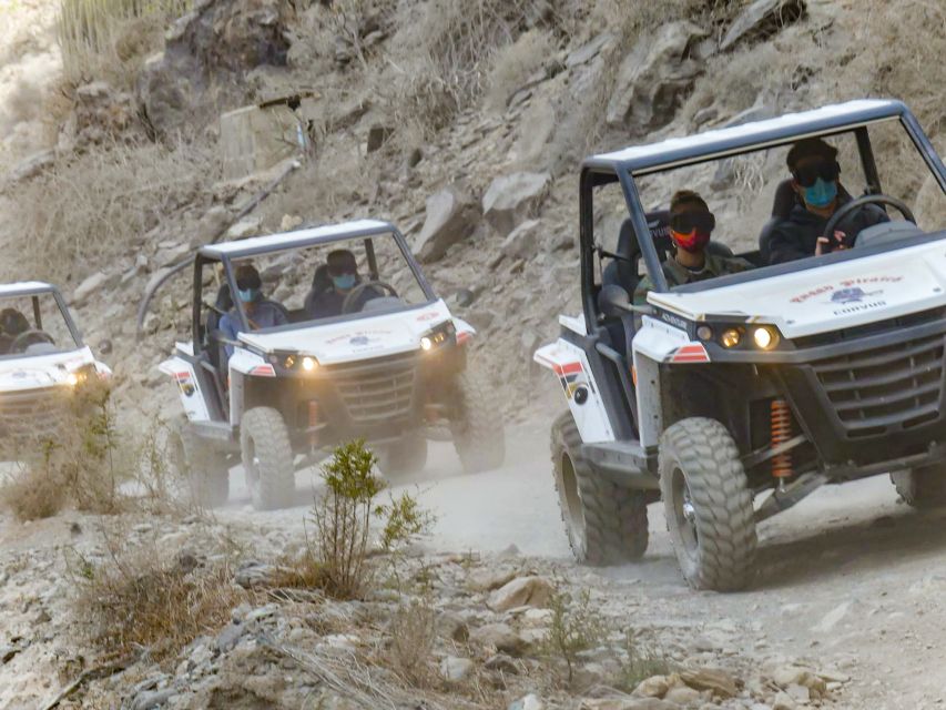 Gran Canaria Guided Buggy Tour - Additional Information
