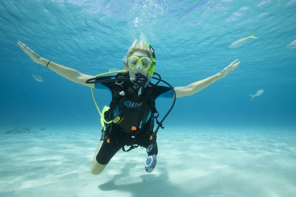 Gran Canaria: Scuba Diving for Beginners - Gear and Equipment