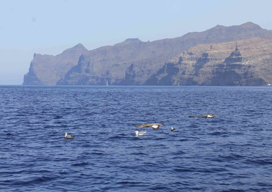 Gran Canaria - Gran Canaria Catamaran Cruises