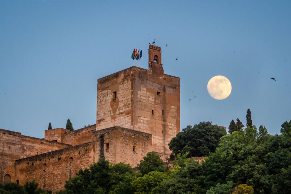 Granada: Alhambra and City Private Tour - Accessibility and Flexibility