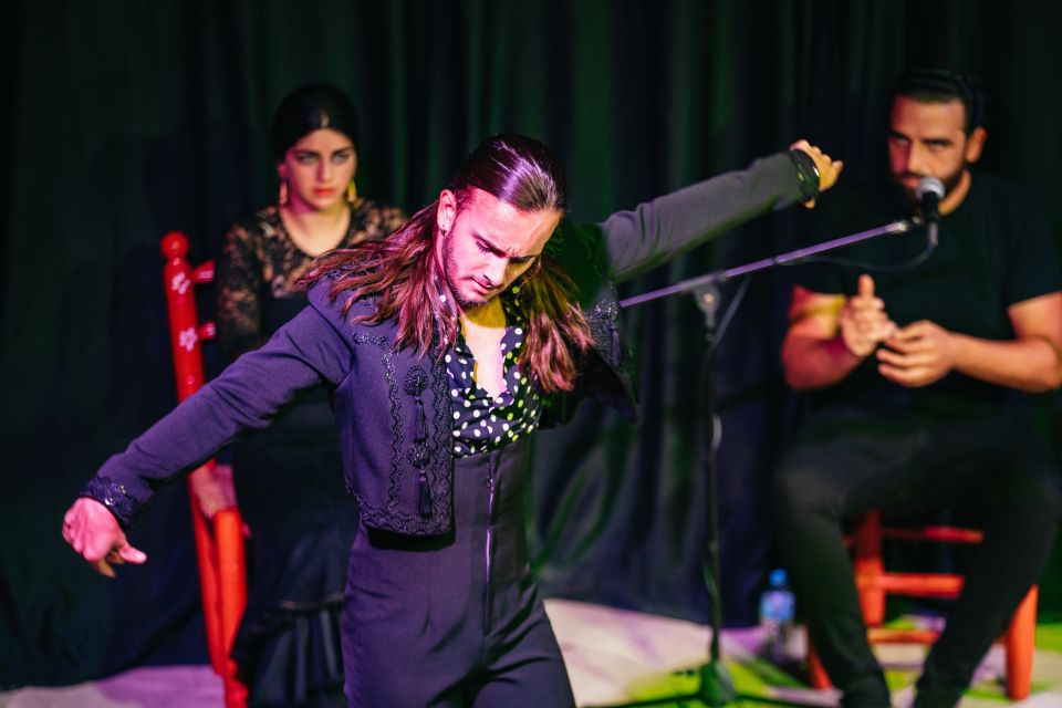 Granada: Flamenco Show in La Alboreá - Additional Details