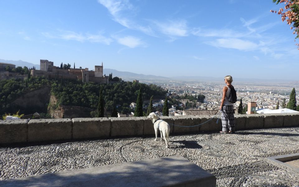 Granada: Guided Albaicín Visit With Pets - Booking Details and Price