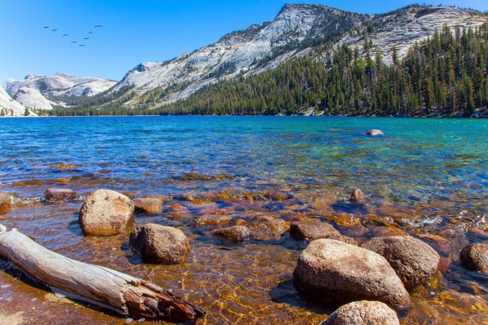 Grand Teton, Yellowstone, Glacier NP: Self-Guided Audio Tour - Helpful Tips for the Tour