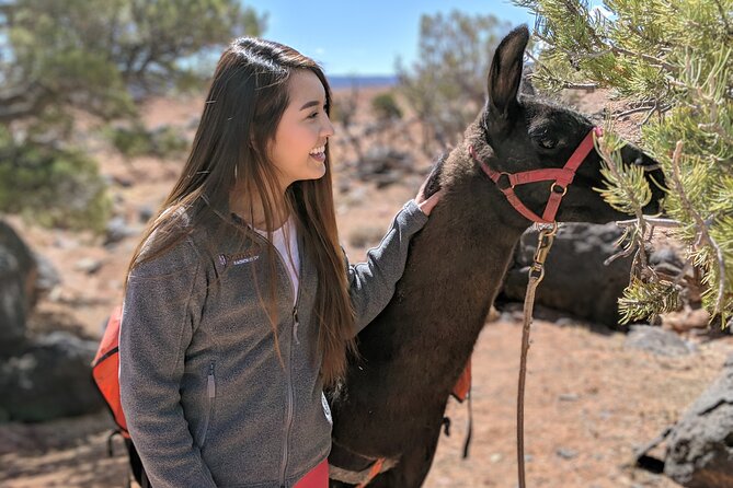 Guided Awesome 2-Hour Llama Hikes Private Experience - Last Words