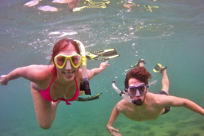 Guided Snorkel Experience in Fort Lauderdale - Booking Information and Pricing