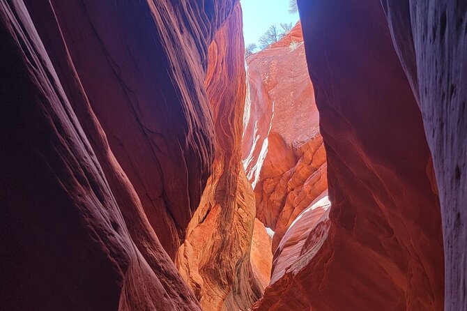 Guided Tours in Southern Utahs Slot Canyons, Indian Ruins, and National Parks. - Common questions