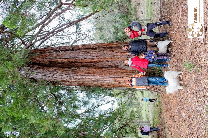 Guided Visit to the Redwoods of La Losa. - Operational Support