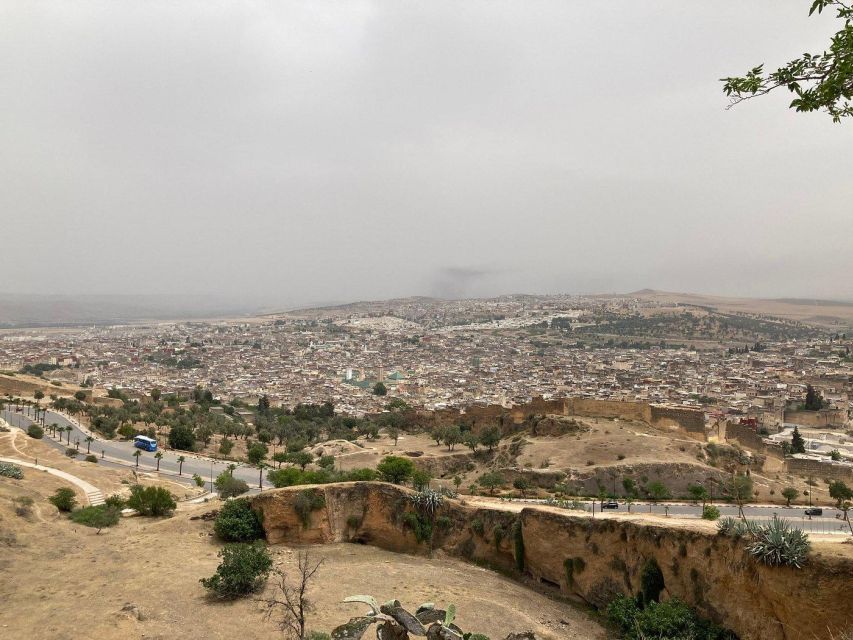 Guided Walking Tour in Old Medina Fez - Expert Guided Exploration