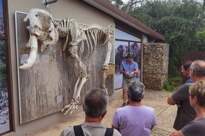 Half-Day Addo Elephant National Park Safari - Traveler Reviews