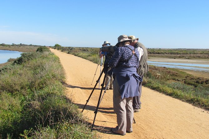 Half-Day Birdwatching Around Tavira - Directions and Tips