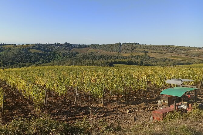 HALF-DAY: Chianti Classic Tour With Wine Experience & Visit of San Gimignano - Assistance Available