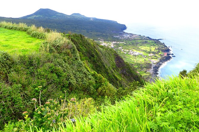 Half-Day Faial Island Tour From Horta - Tour Highlights