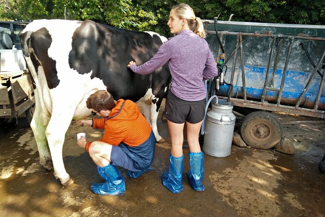 Half-Day Farm Visit and Cow Milking Experience - Booking and Pricing Information