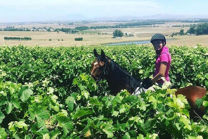 Half Day Horseback Wine Tour - Common questions