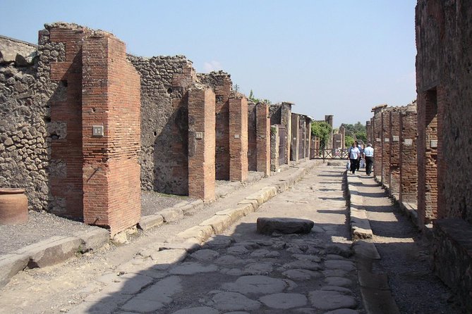 Half Day Morning Tour of Pompeii From Sorrento - Tour Guide Insights