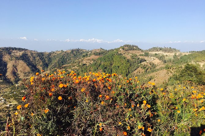 Half-Day Namo Buddha and Thrangu Tashi Monastery Tour - Booking Information