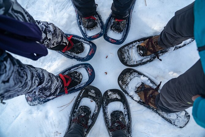 Half Day Snowshoe Hike in Tahoe National Forest - Cancellation Policy and Refunds