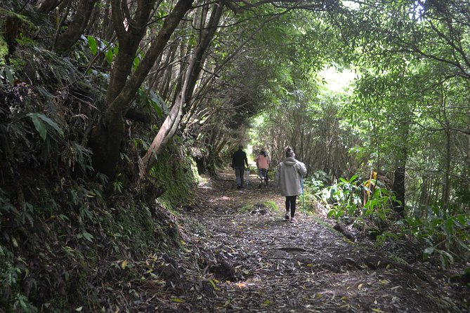 Half Day Walking Tour to Janela Do Inferno and Lagoa Do Fogo - Additional Resources