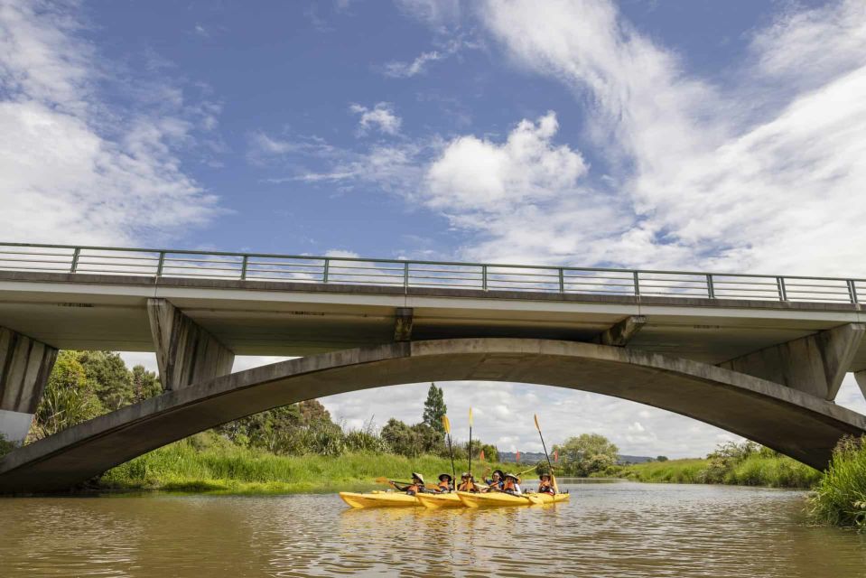 Hallertau Clevedon Kayak Tour - Additional Information