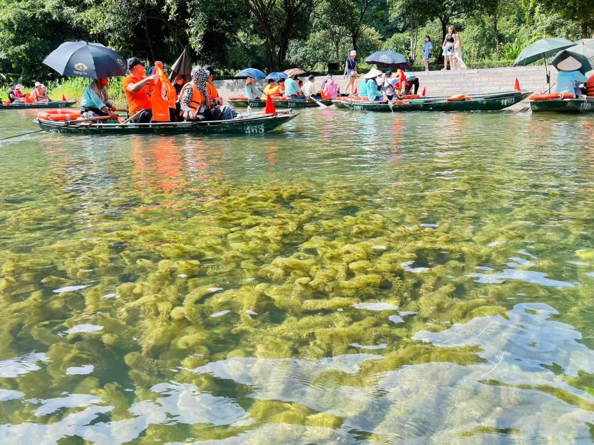 Hanoi: 1 Day Trip to Hoa Lu - Trang an - Mua Cave W/Lunch - Tips and Recommendations