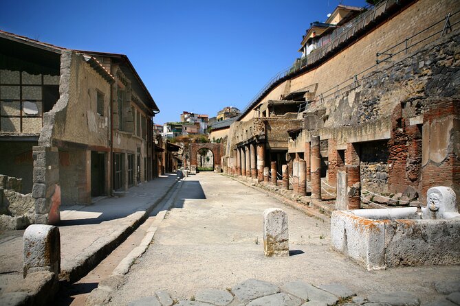 Herculaneum Private Tour at Your Pace! - Additional Services Available