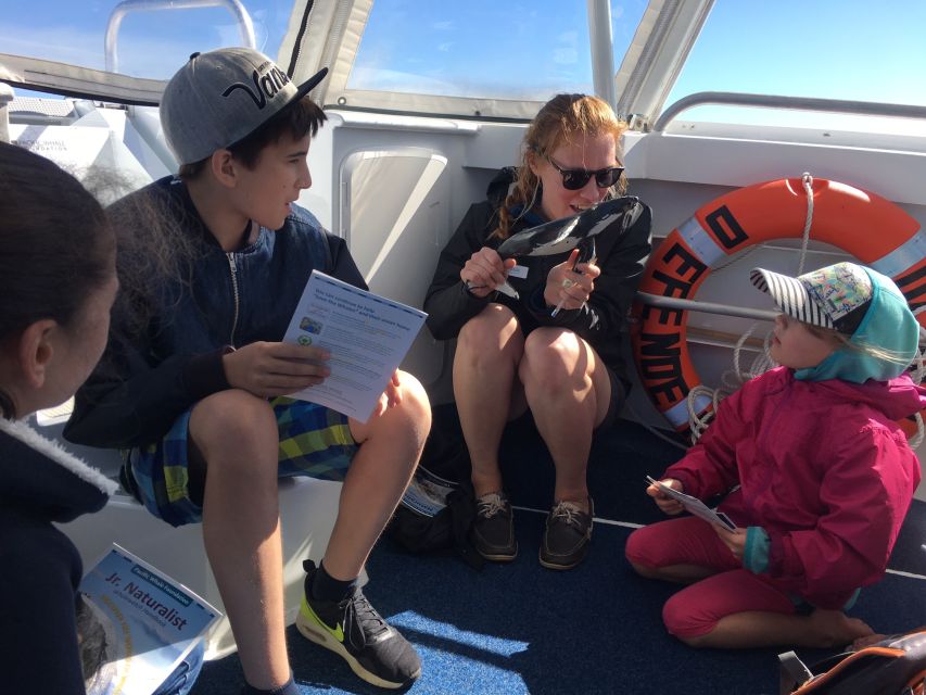 Hervey Bay: Ultimate Whale Watching Experience - Customer Reviews and Ratings