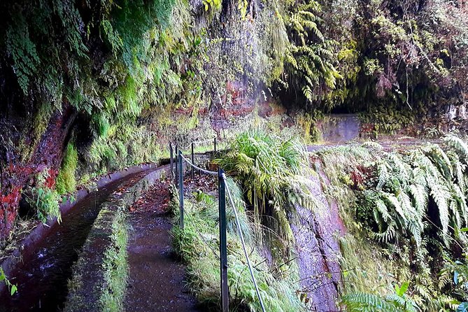 Hidden Corners: Levada Walk From Funchal - Common questions