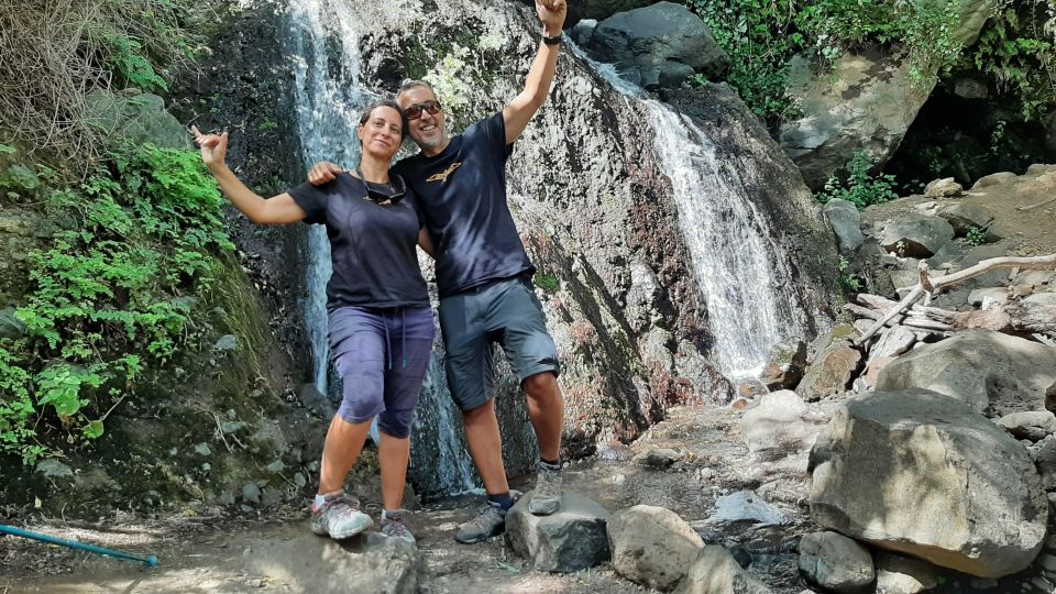 Hiking in the Rainforest by 2 Native Guides - Testimonials and Reviews