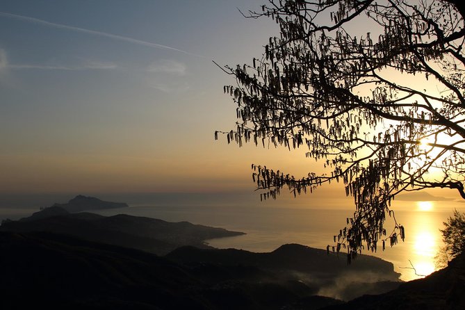 Hiking on Faito Mountain From Sorrento - Additional Information and Policies