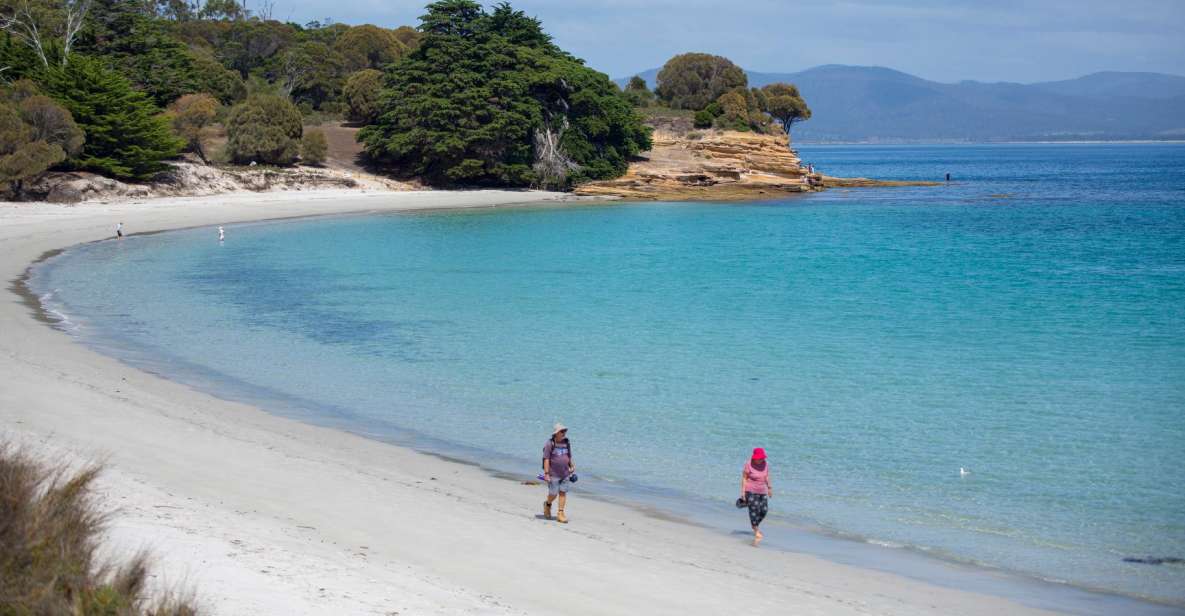 Hobart: Maria Island National Park Active Full-Day Tour - Tour Experience