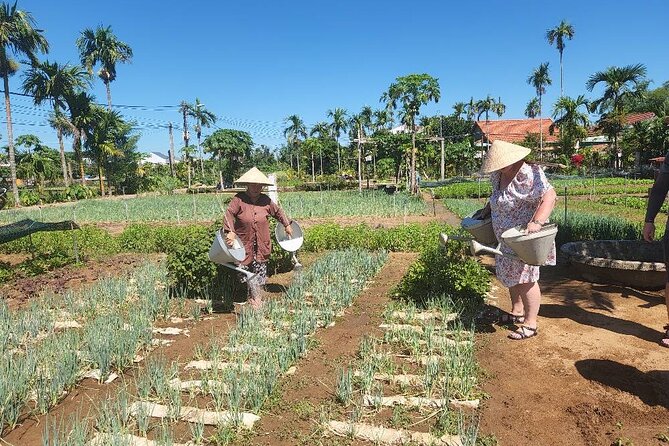 Hoi An Countryside Private Eco-Tour  - Da Nang - Legal Information