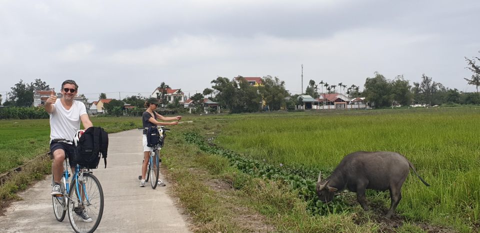 Hoi an Countryside Sightseeing by Bike &Basket Boat Riding - Common questions