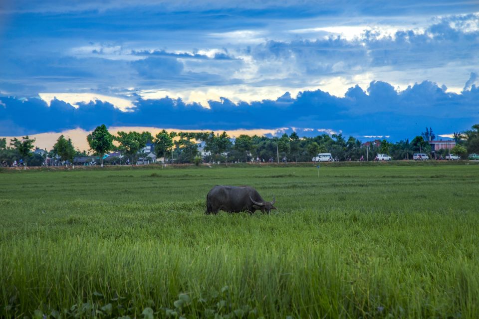 Hoi An: Evening Food Tour by Bike - Safety Information