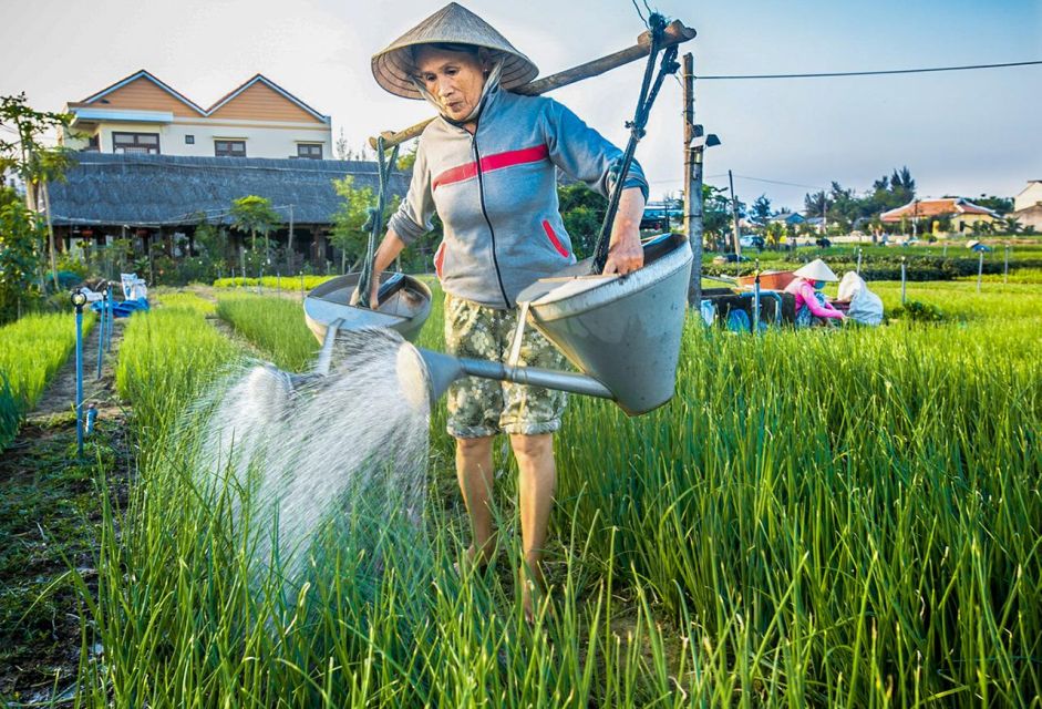 Hoi An Foodie Tour: Half-Day Local Foods Experience - Customer Testimonials