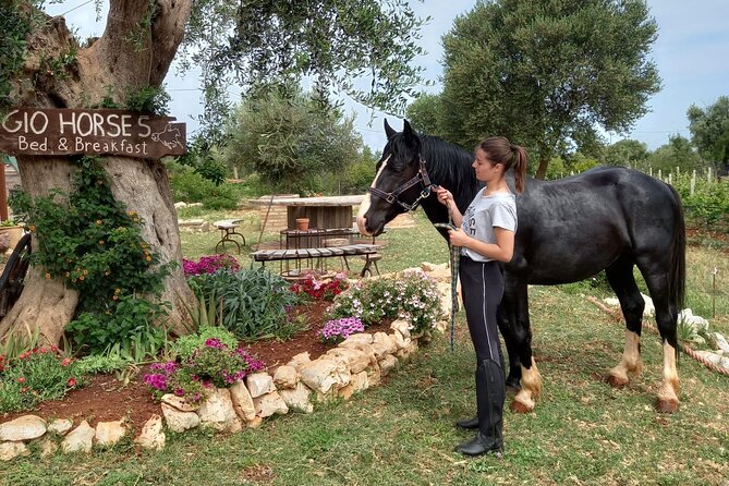 Horse Riding in the Gargano National Park - Last Words