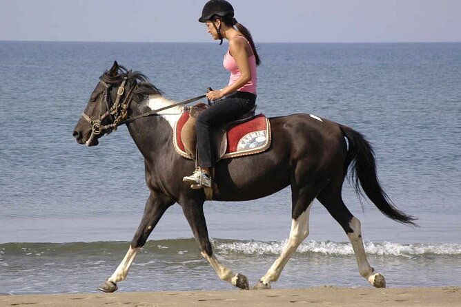 Horse Riding on the Beach in Side - Common questions