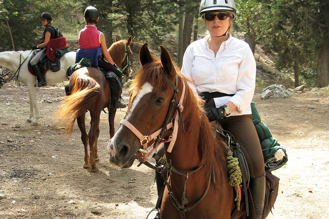 Horse Riding Tour in Bodrum With Hotel Pick up - Customer Reviews