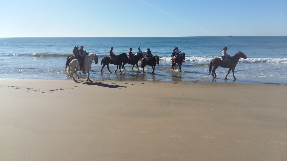 Horse-Riding Tour in Doñana National Park - Customer Reviews