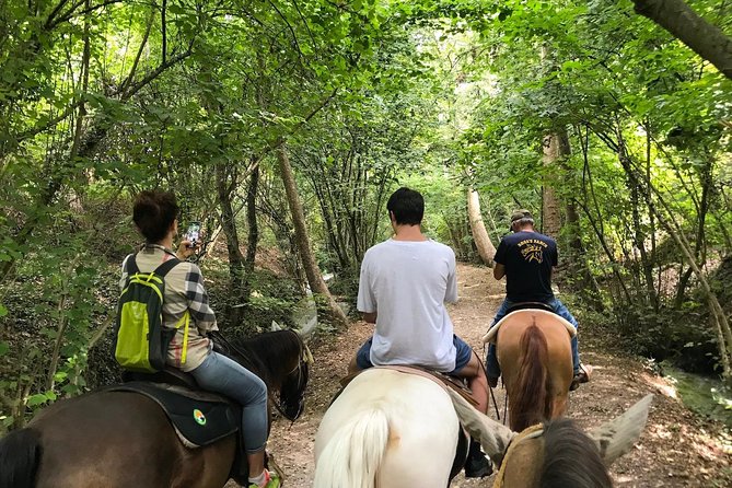 Horseback Riding and Wine Tasting - Experience Summary