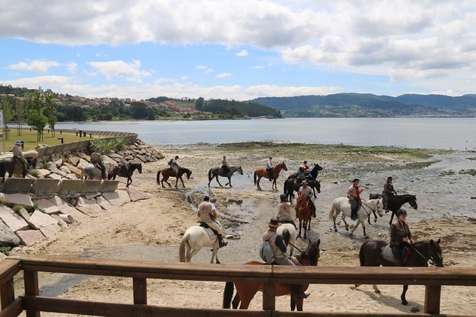 Horseback Riding Camino De Santiago in Abadín, Spain - Last Words