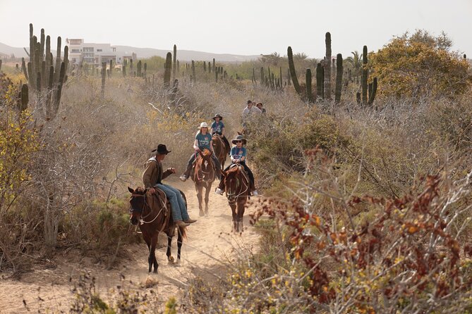 Horseback Riding Tour in Cabo San Lucas - Customer Reviews