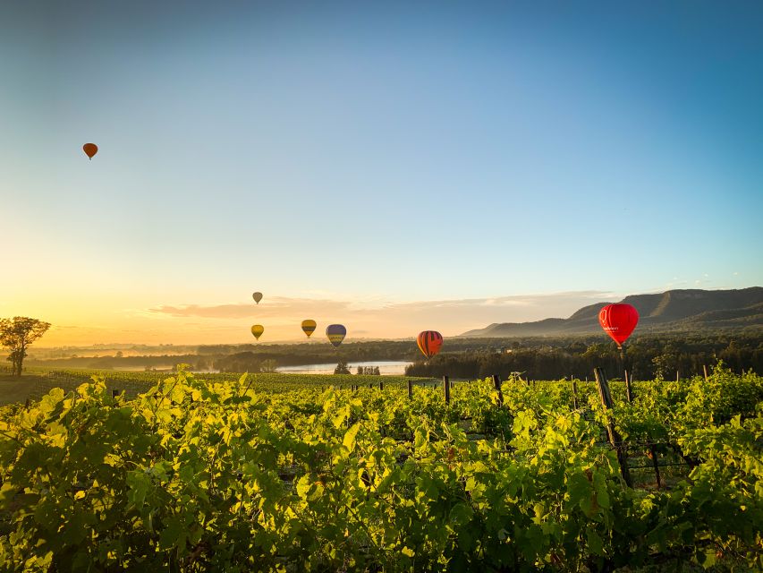 Hunter Valley: Sunrise Balloon Ride With Bubbly Breakfast - Last Words