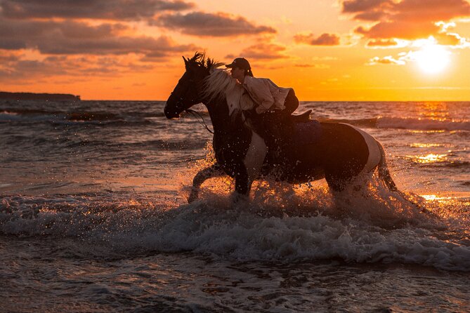 Hurghada: 2 Hours Camel and Horse Riding Adventure on The Sea. - Summary